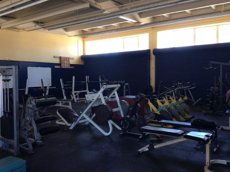 The New and improved weight room.(Fernando Serna/Lion tales)