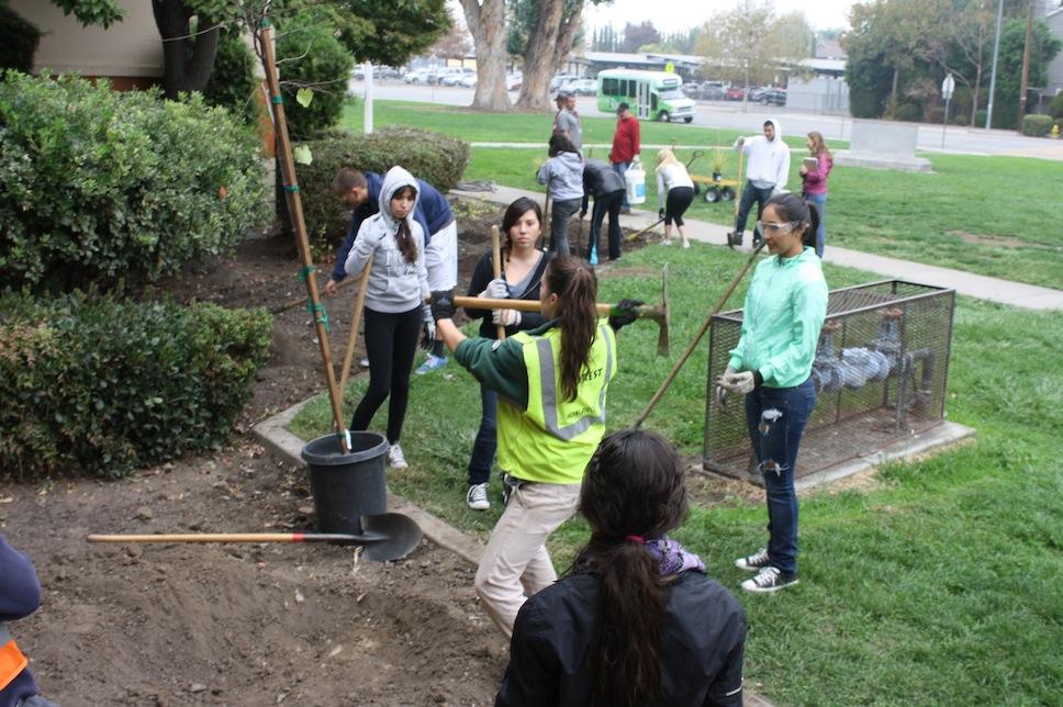 Our City Forest teaches Lincoln students the proper way to plant a tree