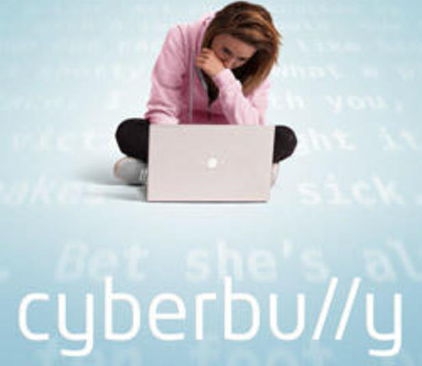 Cyber bullying...ish