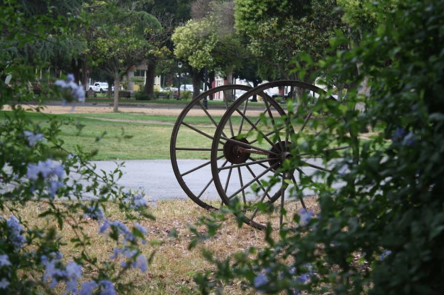 The Rotary Club held the BBQ at the historic Kelley Park. A lone wagon wheel captures a serene feel in the garden. The Downtown chapter of the San Jose Rotary Club held its biannual BBQ June 10, 2015. (Lincoln Lion Tales)