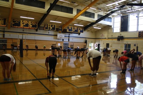 Girl's volleyball stretching before a hard workout. (Emaile Ortega/Lincoln Lion Tales)