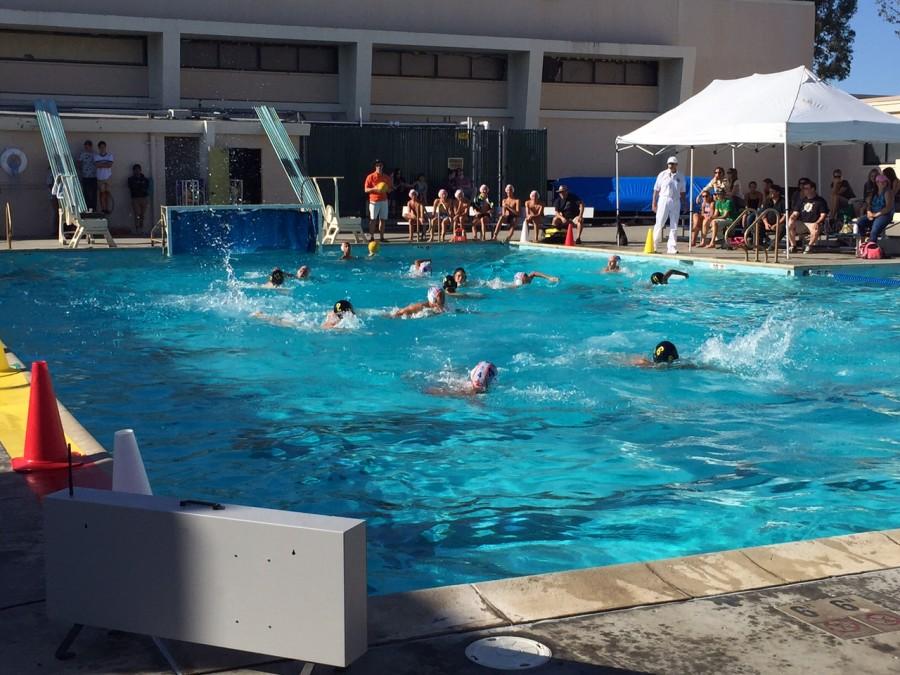 Boys Water Polo facing off against Santa Teresa Sept. 22, 2015. (Amarantha Vazquez/ Lion Tales)