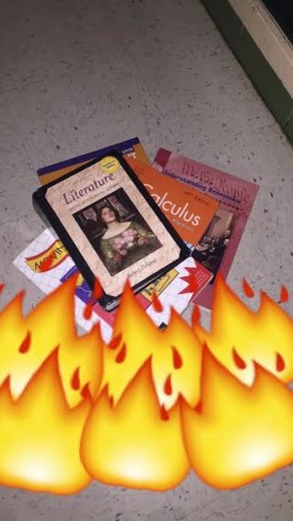 Burning textbooks(Jordan Summers/Lion Tales)