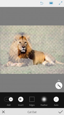 Juan cutting out a lion on photoshop(Juan Alcala/Liontales)