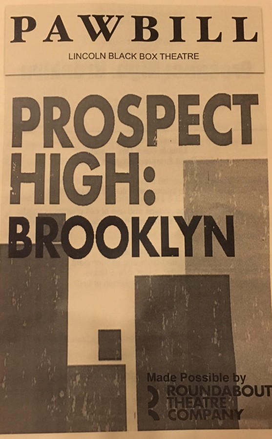Prospect High Brooklyn pamphlet (Photo taken by Kaitlyn Crane/ Lincoln Lion Tales)