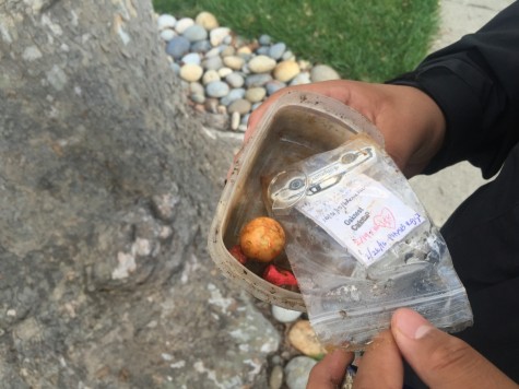 A open geocache found by Lincoln lion tales.