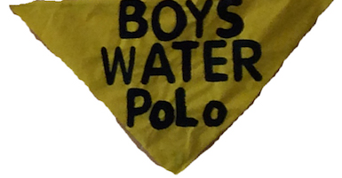 Fall sport, Boys Water Polo. ( Lion tales/Jesse Ruiz )