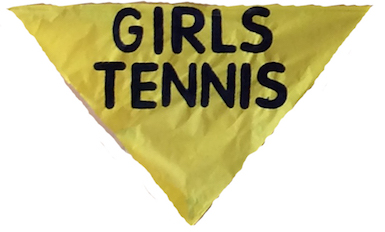 Fall sport, Girls tennis. ( Lion tales/Jesse Ruiz )