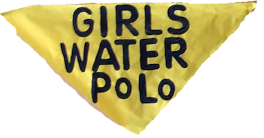 Fall sport, Girls Water Polo. ( Lion tales/Jesse Ruiz)