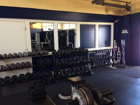 The New and improved weight room(Fernando Serna/lion tales)