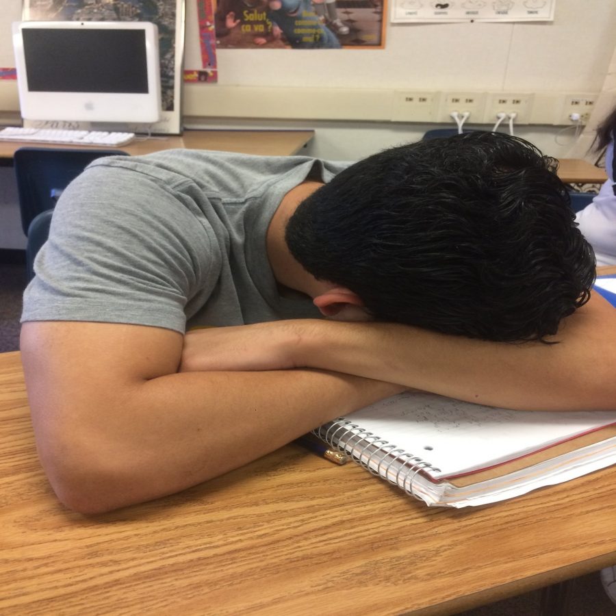 Actual representation of student asleep in class. (Andrea Garcia/ Lincoln Lion Tales)