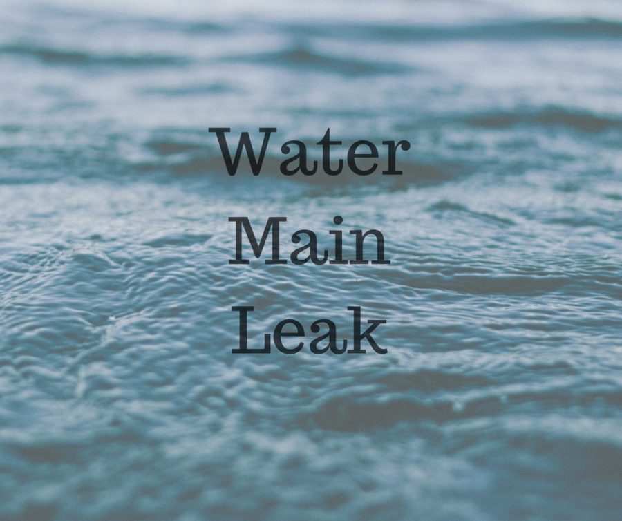 A+water+main+Leak+occured+at+Lincoln+High+school.+%28Jesse+Ruiz%2FLion+Tales%29