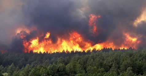 Hombre muere de incendios forestales