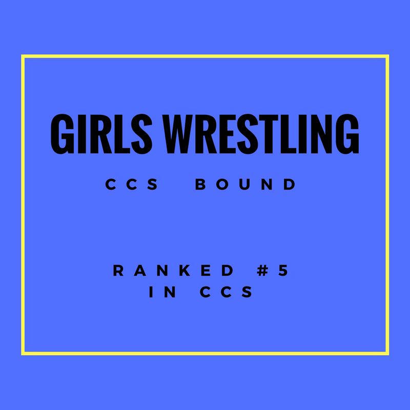 Lionesses+Take+to+the+Mats+in+CCS+Wrestling+Championships