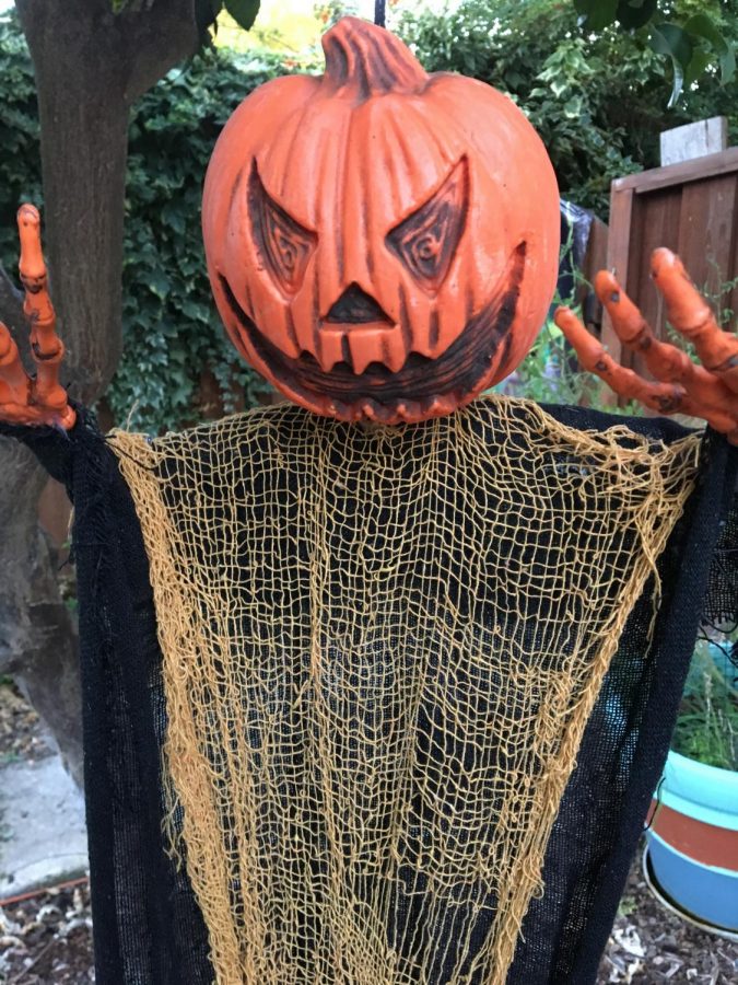Scary pumpkin ghost hanging from tree (Ariana Noble/Lincon Lion Tales)