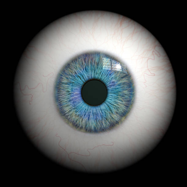 Close up of an isolated human eye. CGI.